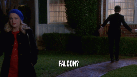 FALCON?  