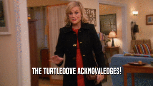 THE TURTLEDOVE ACKNOWLEDGES!  