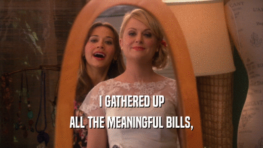 I GATHERED UP ALL THE MEANINGFUL BILLS, 