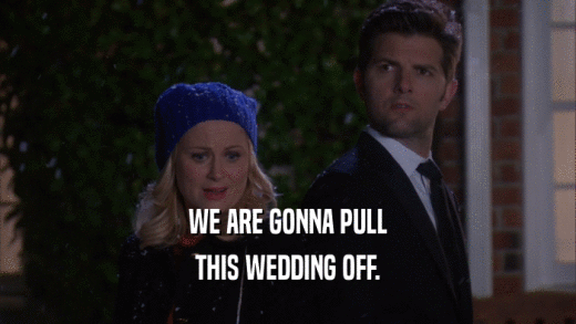 WE ARE GONNA PULL THIS WEDDING OFF. 