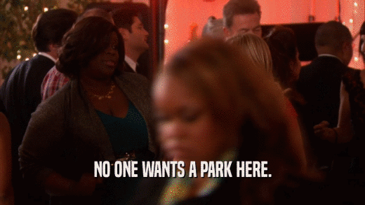 NO ONE WANTS A PARK HERE.  