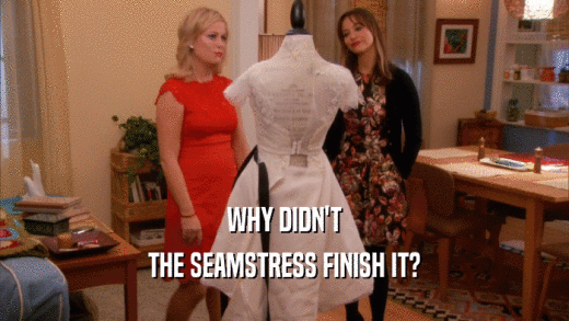 WHY DIDN'T THE SEAMSTRESS FINISH IT? 