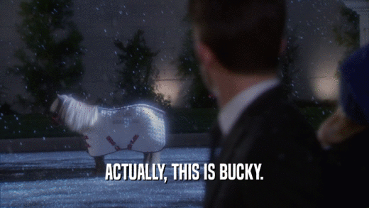 ACTUALLY, THIS IS BUCKY.  