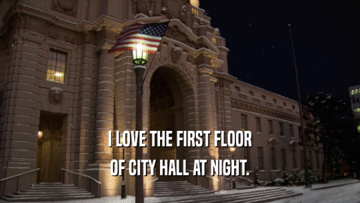 I LOVE THE FIRST FLOOR OF CITY HALL AT NIGHT. 