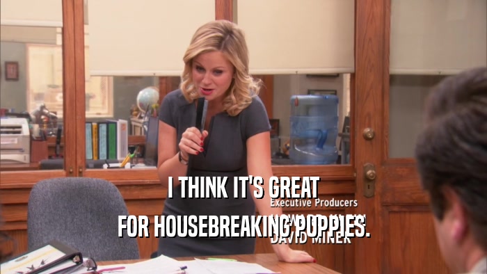 I THINK IT'S GREAT FOR HOUSEBREAKING PUPPIES. 