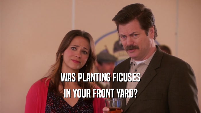 WAS PLANTING FICUSES IN YOUR FRONT YARD? 