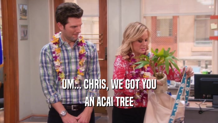UM... CHRIS, WE GOT YOU AN ACAI TREE 