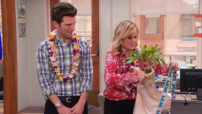 UM... CHRIS, WE GOT YOU AN ACAI TREE 