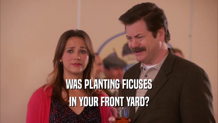 WAS PLANTING FICUSES IN YOUR FRONT YARD? 