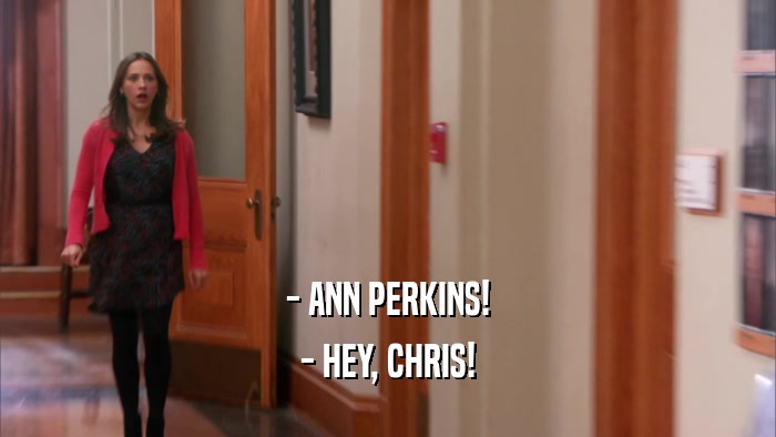 - ANN PERKINS! - HEY, CHRIS! 