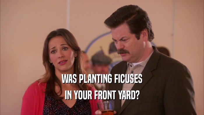 WAS PLANTING FICUSES IN YOUR FRONT YARD? 