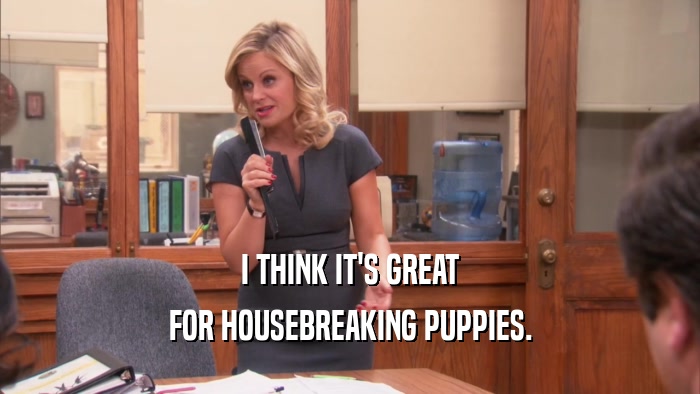 I THINK IT'S GREAT FOR HOUSEBREAKING PUPPIES. 