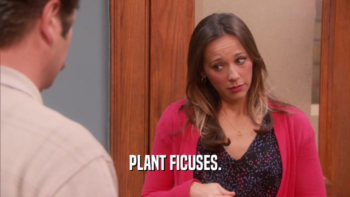 PLANT FICUSES.  