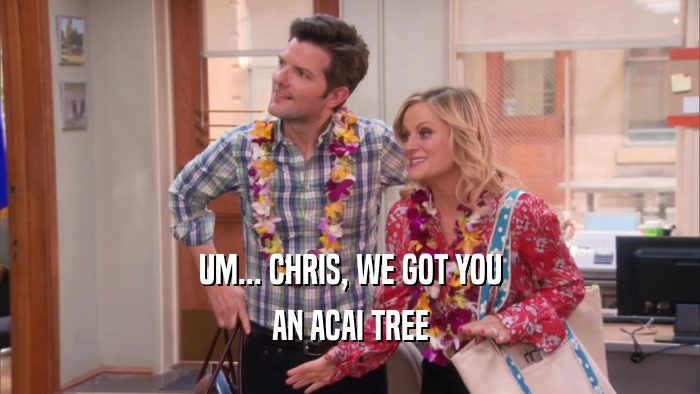 UM... CHRIS, WE GOT YOU AN ACAI TREE 