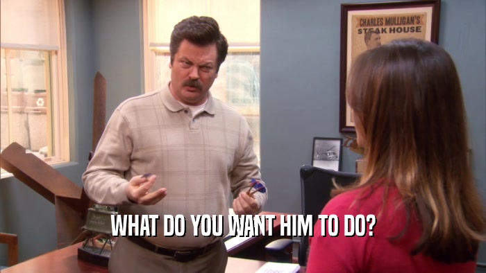 WHAT DO YOU WANT HIM TO DO?  