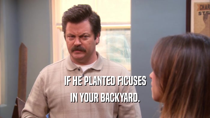 IF HE PLANTED FICUSES IN YOUR BACKYARD. 