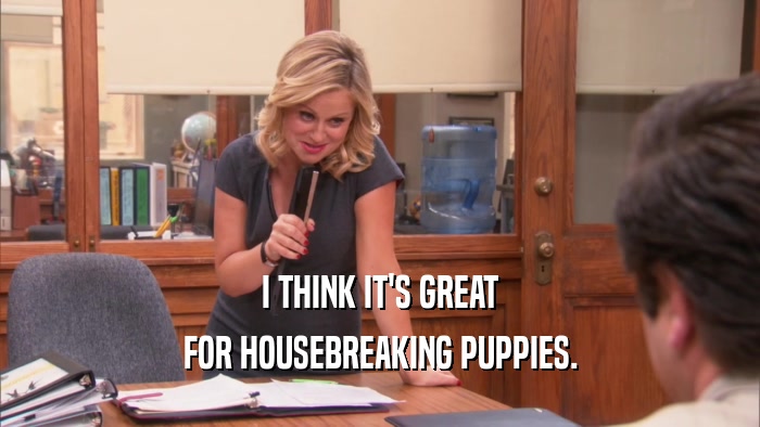 I THINK IT'S GREAT FOR HOUSEBREAKING PUPPIES. 