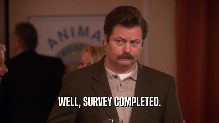 WELL, SURVEY COMPLETED.  