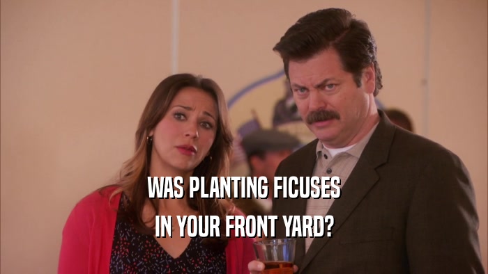 WAS PLANTING FICUSES IN YOUR FRONT YARD? 