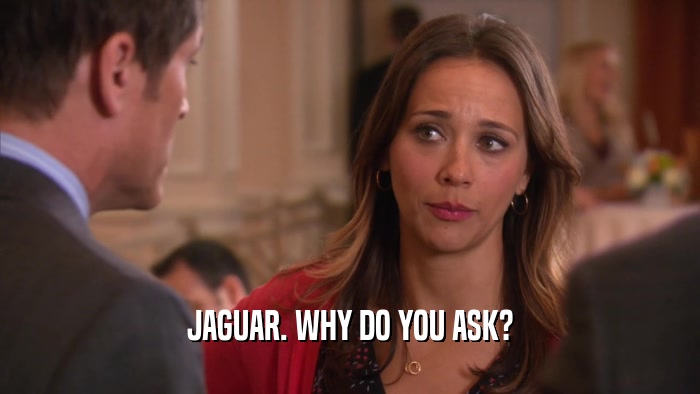 JAGUAR. WHY DO YOU ASK?  