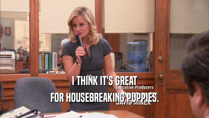 I THINK IT'S GREAT FOR HOUSEBREAKING PUPPIES. 