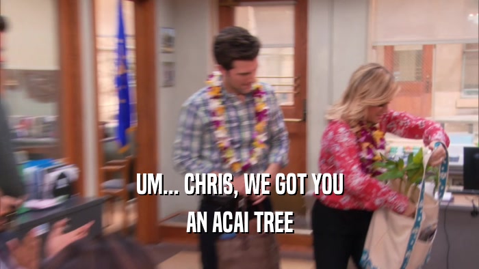 UM... CHRIS, WE GOT YOU AN ACAI TREE 