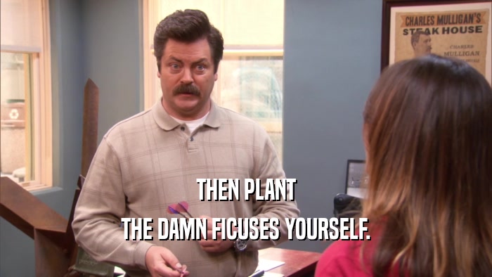 THEN PLANT THE DAMN FICUSES YOURSELF. 