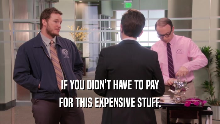 IF YOU DIDN'T HAVE TO PAY FOR THIS EXPENSIVE STUFF. 