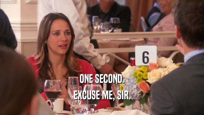 ONE SECOND. EXCUSE ME, SIR. 
