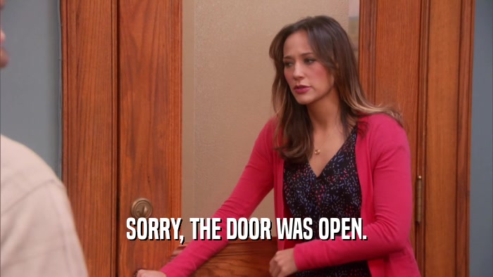 SORRY, THE DOOR WAS OPEN.  