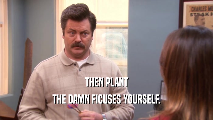 THEN PLANT THE DAMN FICUSES YOURSELF. 