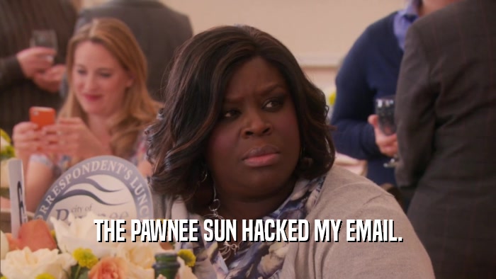 THE PAWNEE SUN HACKED MY EMAIL.  