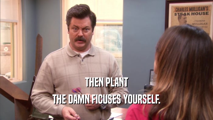 THEN PLANT THE DAMN FICUSES YOURSELF. 