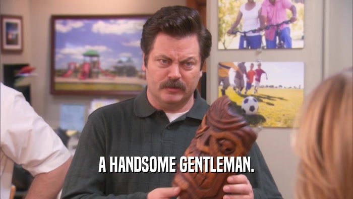 A HANDSOME GENTLEMAN.  