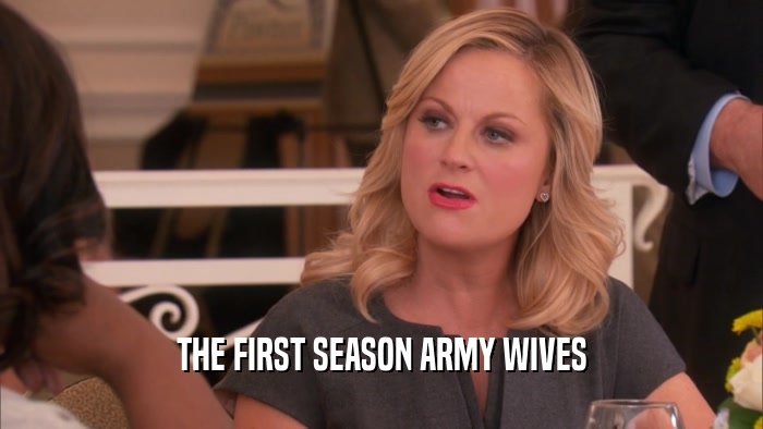 THE FIRST SEASON ARMY WIVES
  