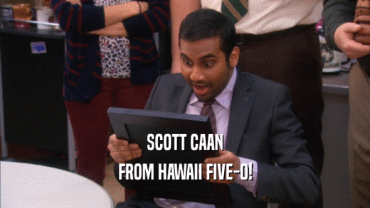 SCOTT CAAN
 FROM HAWAII FIVE-0!
 