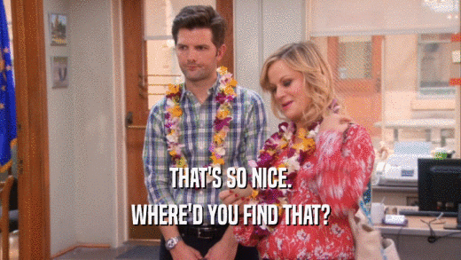 THAT'S SO NICE. WHERE'D YOU FIND THAT? 