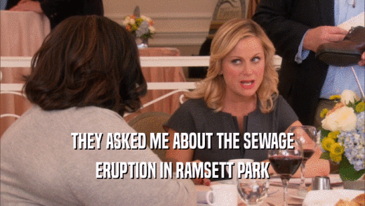 THEY ASKED ME ABOUT THE SEWAGE
 ERUPTION IN RAMSETT PARK
 