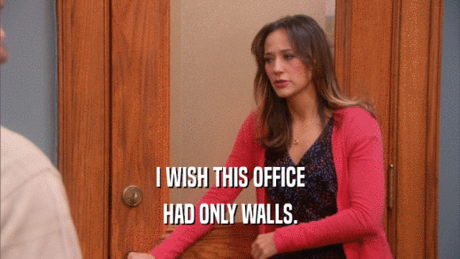 I WISH THIS OFFICE HAD ONLY WALLS. 
