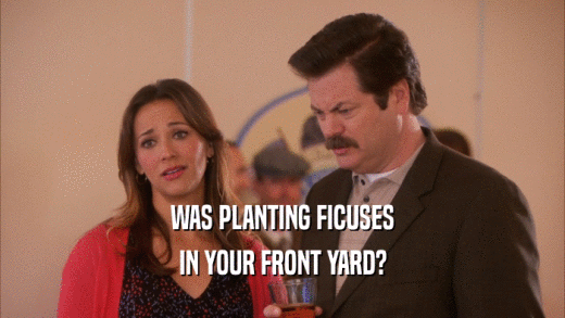 WAS PLANTING FICUSES IN YOUR FRONT YARD? 