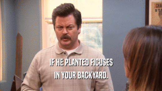 IF HE PLANTED FICUSES IN YOUR BACKYARD. 