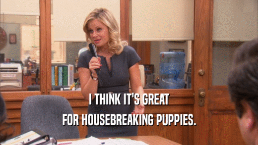 I THINK IT'S GREAT FOR HOUSEBREAKING PUPPIES. 
