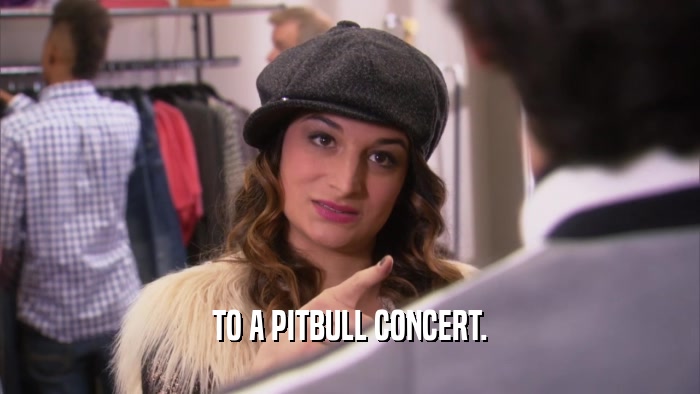 TO A PITBULL CONCERT.  