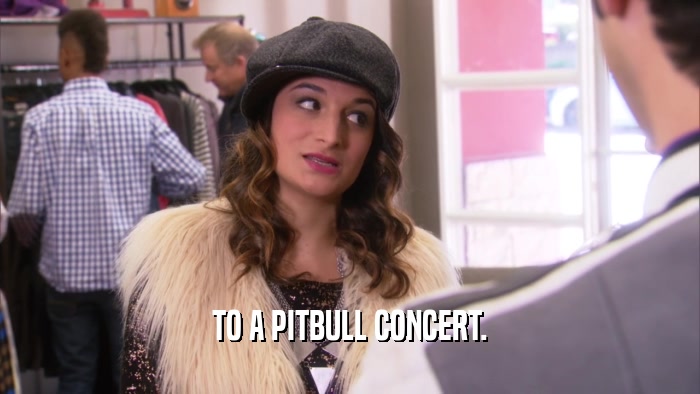 TO A PITBULL CONCERT.  