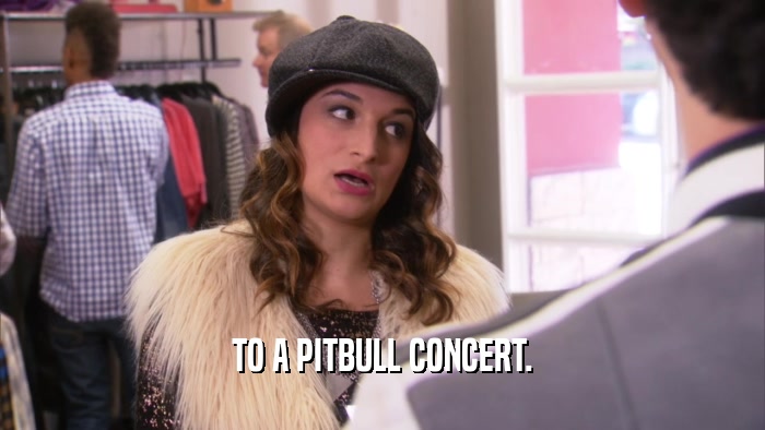 TO A PITBULL CONCERT.  