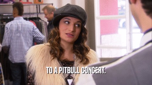 TO A PITBULL CONCERT.  