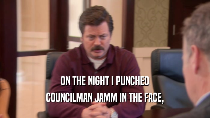 ON THE NIGHT I PUNCHED COUNCILMAN JAMM IN THE FACE, 