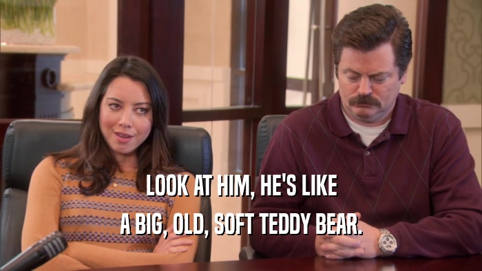LOOK AT HIM, HE'S LIKE A BIG, OLD, SOFT TEDDY BEAR. 