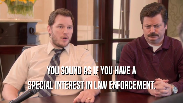 YOU SOUND AS IF YOU HAVE A SPECIAL INTEREST IN LAW ENFORCEMENT. 