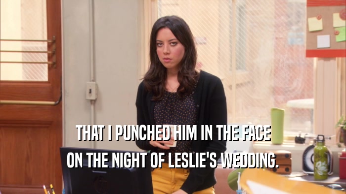 THAT I PUNCHED HIM IN THE FACE ON THE NIGHT OF LESLIE'S WEDDING. 